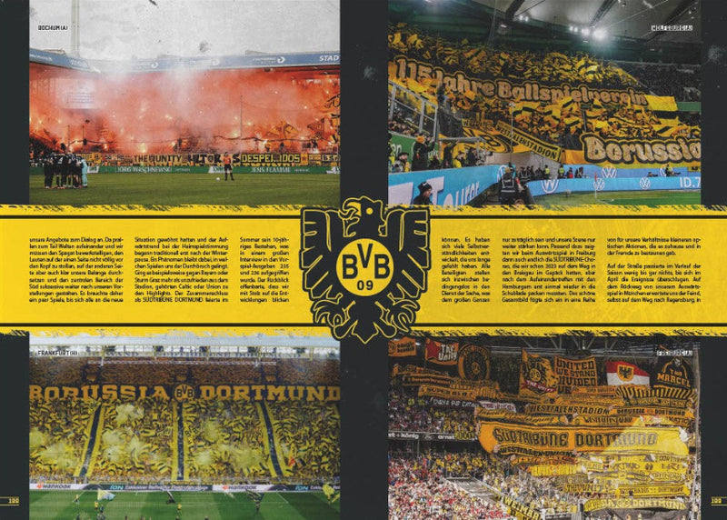 BFU-SAISONRÜCKBLICK 24/25