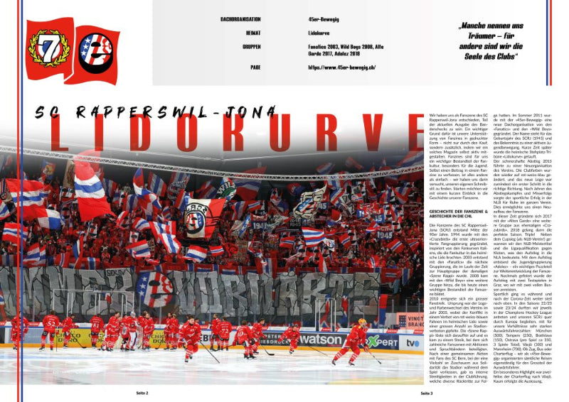 BANDENCHECK Nr. 2 - EISHOCKEY-Saisonrückblick 24/25