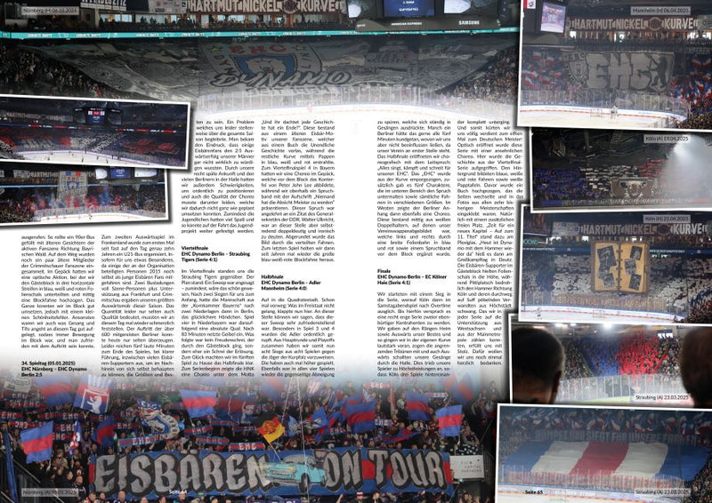 BANDENCHECK Nr. 2 - EISHOCKEY-Saisonrückblick 24/25
